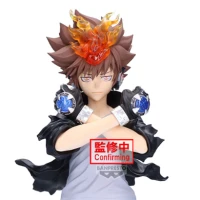Grandista Tsunayoshi Sawada – REBORN!
